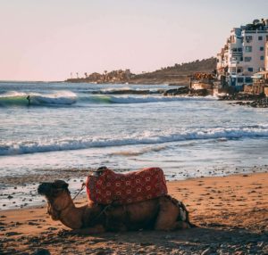 Surfcamp Marokko